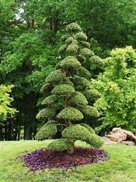 Arbre En Nuages Benjamin Pierrache Pour Le Zooparc De Beauval Garden Waterfall Topiary Garden Garden Shrubs