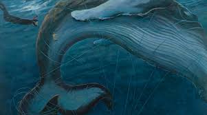 Really really close to a humpback whale in antarctica! Book The Eye Of The Whale Wetpixel Com