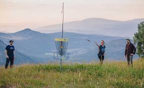 Image result for disc golf