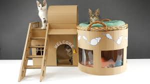 Gozleri Acilmamis Kedi Icin Kartondan Kedi Evi Yaptim House Made Of Cardboard For The Cat Youtube