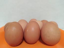 Maka ayam bukanlah ayam yang berasal dari telur atau dari ayam, namun dari evolusi theropoda. Ub Manfaat Telur Tingkatkan Imunitas Untuk Cegah Covid 19