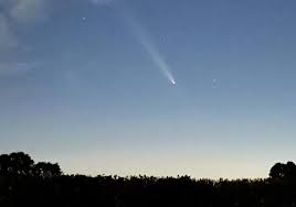 Image result for Irish White 1980 Comet Overnight Transport