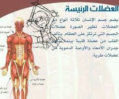 Pin By Hi Ba On Otaku Funny Arabic Quotes Life Verses Arabic Quotes