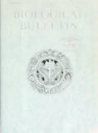 The Biological bulletin