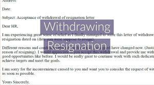 Working as a personal assistant is an excellent way of building the experience necessary to move into your profession. Withdrawing Resignation Letter Example Resignletter Org