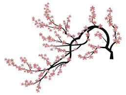 Blooming Cherry Sakura Branch With Flower Buds Cartoon Drawing Of A Blossoming Tree In Spring Logo With Japanese Stock Vector Illustration Of Nature Blossom 157743779 Cherry blossom cartoon png is about is about logo, national cherry blossom festival, cable television, line, cherry blossom. blooming cherry sakura branch with