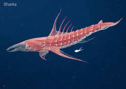There are a couple of new ones to check out in below zero. Leviathan Class Organisms Subnautica Below Zero Wiki Fandom