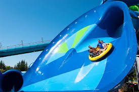 However, many of the orlando. 9 Best Water Parks In Florida Family Vacation Critic