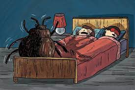 Insecticides that are available to the pest controllers may start with nonchemical methods and then use pesticides if these do not work. What To Do If You Have Bedbugs In 2020 Wirecutter