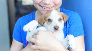 About Good Karma Pet Rescue — Good Karma Pet Rescue