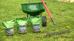 If Your Lawn Is Starting To Look Thin Or Worn Out If It Has Bare Spots Or If It Isn T Quite As Drought Resistant Overseeding Overseeding Lawn Lawn Care Tips