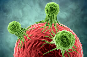 Cancer is the name for a group of more than 100 diseases in which cells begin to grow out of control. The Cancers That Are Contagious Discover Magazine
