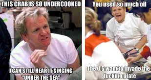 Gordon ramsay is a british master chef, celebrity and restaurateur best known for saving troubled restaurant businesses in the television show ramsay's kitchen nightmares and discovering talented. Gordon Ramsay Memes Runt Of The Web