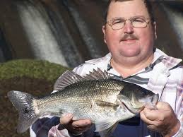 Cam chain tensioner/runner for 1972-76 Honda XL250?