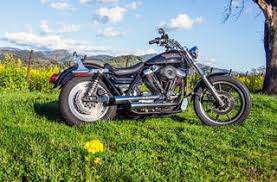 Image result for Vivid Black 1994 FXLR