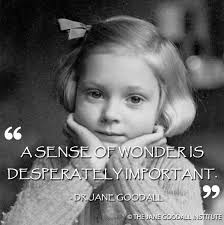 Precious Minds, New Connections