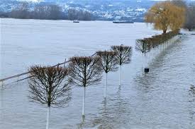 Linz am hochwasser linz am rhein.jpg 2,876 × 4,360; Neuwied Rheinhochwasser Steigt Weiter Nr Kurier De