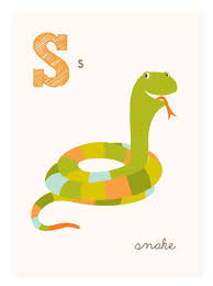 Abc Card S Is For Snake Abc Wall Art Alphabet Flash Cards Etsy In 2020 Abc Wall Art Abc Wall Alphabet Print