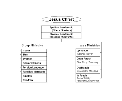 Organizational Chart Template United Cv Kiwi Format