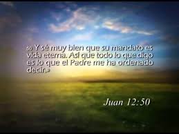 Lectura Del Santo Evangelio Segun San Juan 12 44 50 En Aquel Tiempo Jesus Grito Diciendo El Que Cree En Mi No Cree En 2 Corintios 11 2 Corintios Palabras
