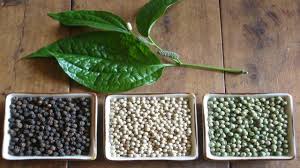 Pokok lada hitam ( piper nigrum ) adalah pokok berbunga dalam keluarga piperaceae, yang hidup subur di kawasan beriklim tropika yang panas dan lembap. Harga Lada Hitam Sekilo 2019 Malaysia Rungus My