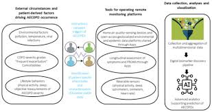 Image result for COPD Exacerbation Decision Tool