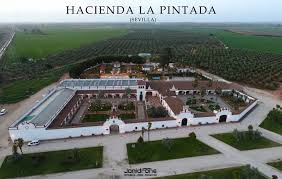 Guía de haciendas para bodas dos hermanas: I Love Wedding Sevilla La Fiesta De La Boda Llega A Dos Hermanas El 24 De Noviembre