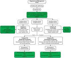 2016 Aha Acc Guideline On The Management Of Patients With Lower Extremity Peripheral Artery Disease Executive Summary A Report Of The American College Of Cardiology American Heart Association Task Force On Clinical Practice Guidelines