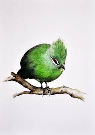 Original Colored Pencil Drawing Bird Painting Bird Art 8x11 Inch Green Bird Bird Art Birds Painting Realistic Rose Drawing