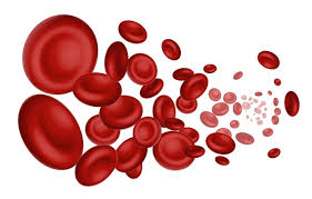 Image result for Blood Volume