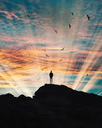 Pin By 𝔎𝔢𝔩𝔩𝔶 On Wallpapers In 2020 Love Background Images Freedom Photography Nature Pictures