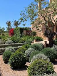 Mediterranen Garden Mediterranean Garden House Styles Mallorca