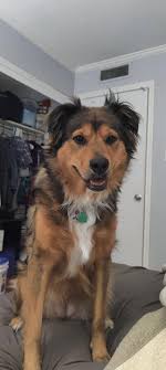 Penny's Humble Abode