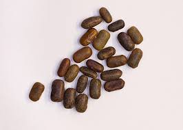 Image result for Sesbania goetzei