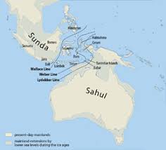 Check spelling or type a new query. Denisovan Wikipedia