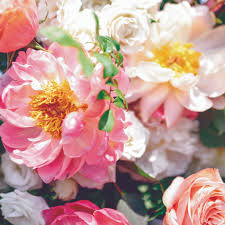 Maybe you would like to learn more about one of these? Seacoast Maine New Hampshire Wedding Florals