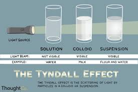Understand The Tyndall Effect In Chemistry Tyndall Beams Light Scattering