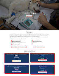 The first dedicated urgent care clinic for pets. Your Veterinary Website Needs An Emergency Page Whiskercloud
