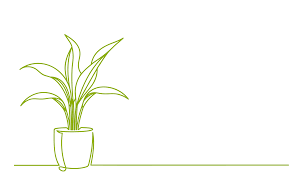 Health yeppoon is a general practitioner (gp) practice located in the heart of yeppoon. Yeppoon Doctors Health Yeppoon