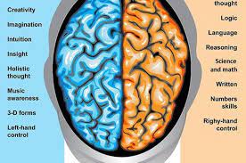 Perbedaan utama antara otak kiri dan otak kanan adalah otak kiri lebih verbal, analitis dan teratur sedangkan otak kanan lebih visual dan intuitif. Catat Inilah Perbedaan Sebenarnya Antara Otak Kanan Dan Otak Kiri Semua Halaman Intisari