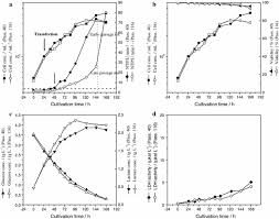 For more information on reservations or questions, please visit faq or pei provincial parks. Optimizing The Transient Transfection Process Of Hek 293 Suspension Cells For Protein Production By Nucleotide Ratio Monitoring Springerlink