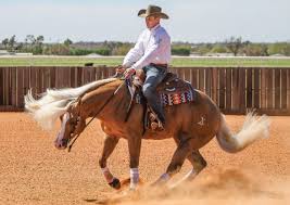 Stop Your Spin Accurately Horse Riding Tips Ranch Riding Show Horses