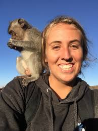 Welcome to Schuck Yes