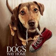 One dog was named ulla. Famous Dogs And Famous Dog Names With Images And Information