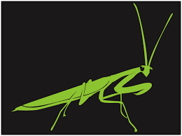 Pin By Ford Davis On Stencil Templates Praying Mantis Stencil Templates Stencil Template
