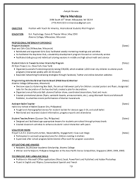 american resume samples resume format