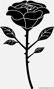 Maybe you would like to learn more about one of these? Mawar Hitam Tattoo Rose Drawing Grafis Mawar Putih Daun Png Pngegg