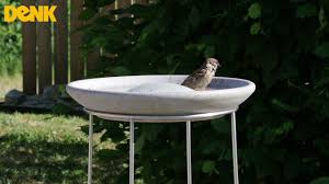 Gefrierendes wasser ist außer für rohre auch für alle dekorationselemente gefährlich, die den winter über im garten verbleiben. Vogeltranke Als Vogelbad Fur Den Spatz Denk Keramik Youtube