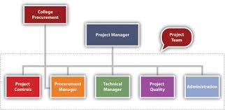 Project Organization