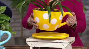 Hand painted ceramic garden planters embossed leaf nest 2. Plow Hearth Oversized Teacup Planter With Saucer On Qvc Youtube